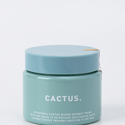 Освежающий крем-сорбет с экстрактом кактуса So Natural Cactus Water Sherbet Cream 80 гр