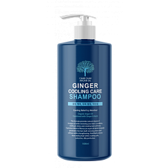 Укрепляющий шампунь с технологией охлаждения кожи головы Argan Oil Ginger Cooling Care Evas 1000 мл